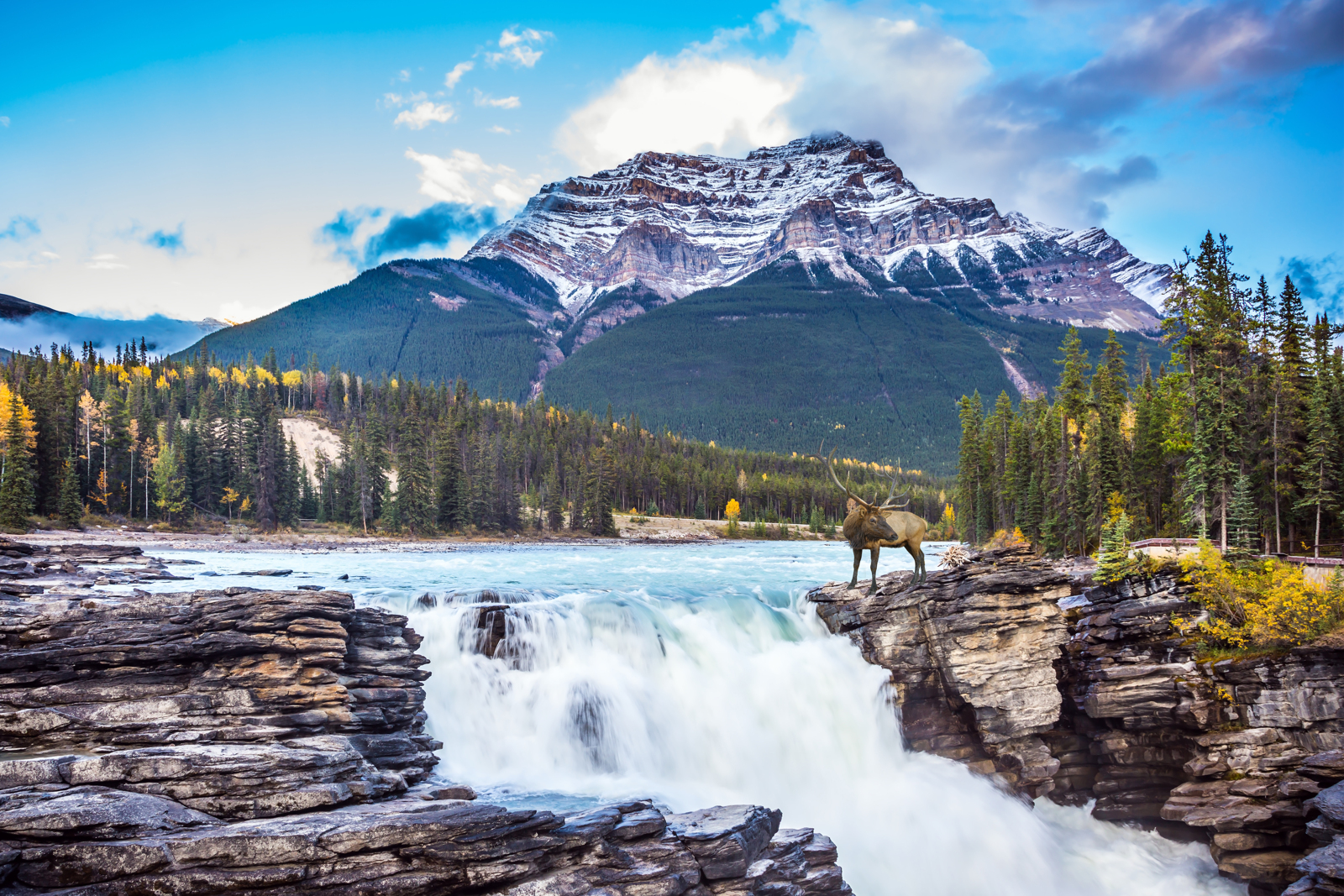 Infoavond zomer aanbod West-Canada 2026